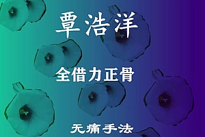 覃浩洋全借力正骨术治疗40多种疾病3天培训视频教程