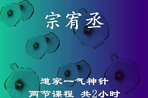 宗宥丞道家一气神针点穴手法视频教程