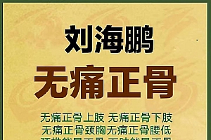 刘海鹏易学好用的无痛正骨视频教程