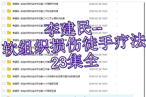 李建民华人一手软组织损伤徒手疗法视频教程
