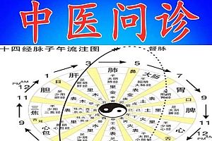 顾植山中医问诊五运六气精讲全套视频教程