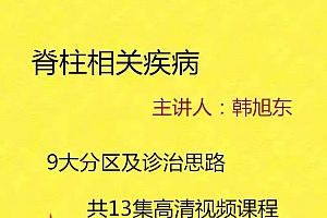 韩旭东脊柱相关疾病9大分区及诊治思路高清视频教程