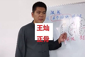 王灿正骨昊正整脊理筋手法视频教程全集