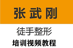张武刚徒手整形教学培训全程视频教程