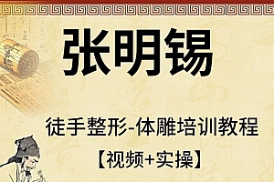 张明锡徒手整形体雕实操手法视频教程