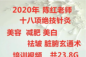陈红十八项绝技针灸美容培训视频教程
