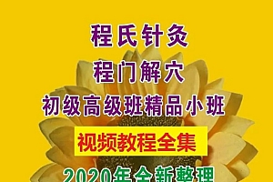 程氏针灸程门解穴精品小班中医视频教程
