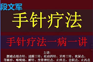 段文军手针疗法一病一讲高清中医针灸视频教程