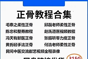 毛泰之邱磊陈忠和赵氏道医张振听何浩正骨视频教程大全