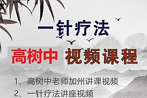 高树中一针疗法视频教程合集